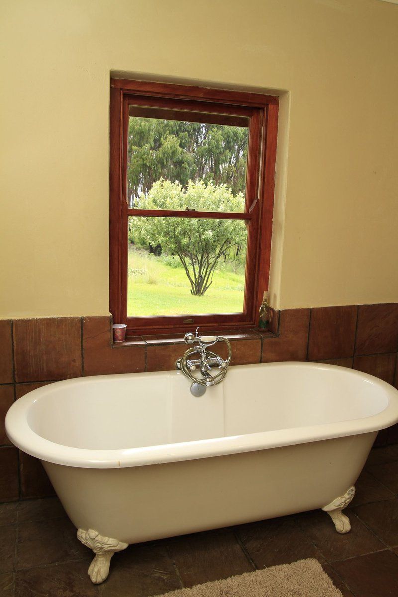 Kwaggaskop Game Farm Dullstroom Mpumalanga South Africa Sepia Tones, Bathroom