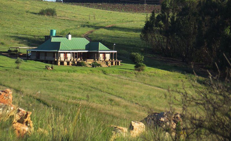 Kwaggaskop Game Farm Dullstroom Mpumalanga South Africa Barn, Building, Architecture, Agriculture, Wood, Field, Nature