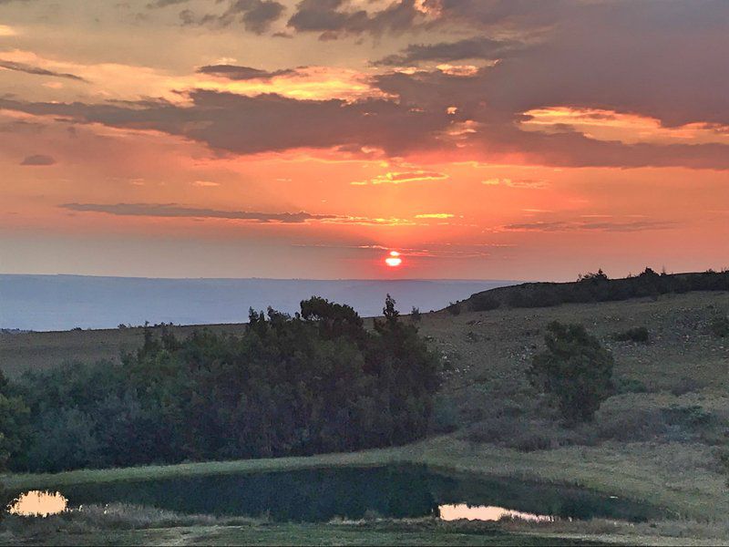 Kwaggaskop Game Farm Dullstroom Mpumalanga South Africa Beach, Nature, Sand, Sky, Framing, Sunset