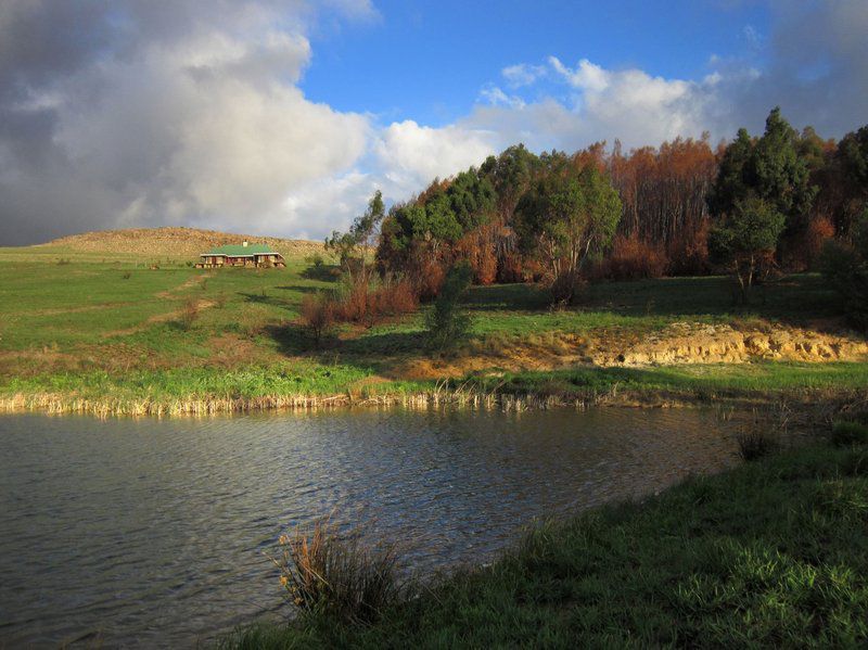 Kwaggaskop Game Farm Dullstroom Mpumalanga South Africa River, Nature, Waters, Highland