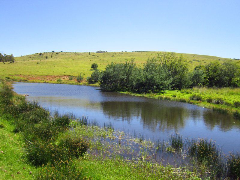 Kwaggaskop Game Farm Dullstroom Mpumalanga South Africa Complementary Colors, River, Nature, Waters