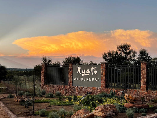 Nyati Wilderness Vaalwater Limpopo Province South Africa Cactus, Plant, Nature, Sky