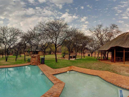 Kwamahla Lodge Rustenburg North West Province South Africa Swimming Pool