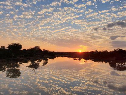 Kwambili Game Lodge Thornybush Game Reserve Mpumalanga South Africa Sky, Nature, Sunset