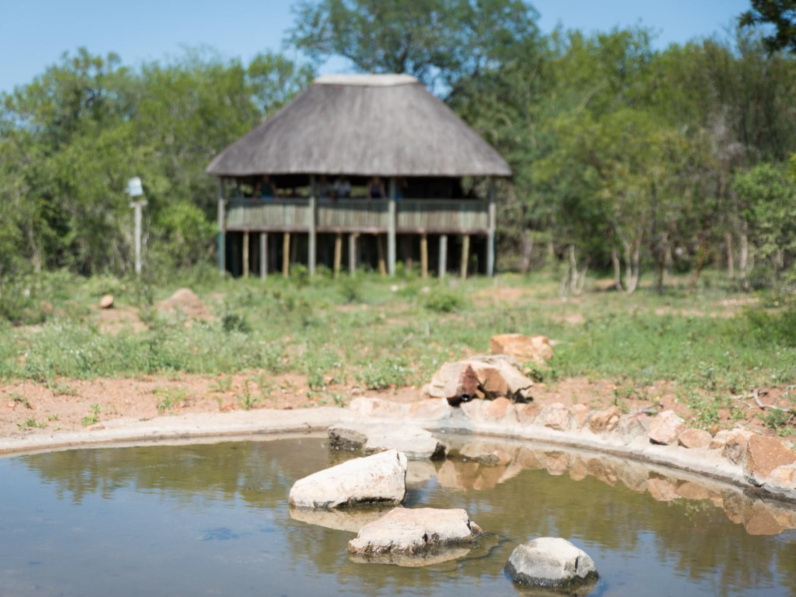 Kwambili Game Lodge Thornybush Game Reserve Mpumalanga South Africa River, Nature, Waters