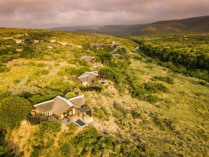 Kwandwe Private Game Reserve Grahamstown Eastern Cape South Africa Sepia Tones