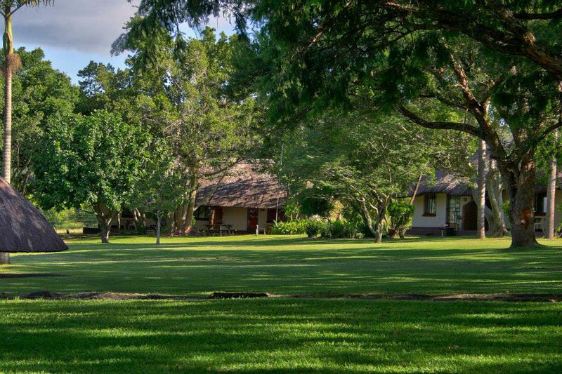 Kwanyoni Lodge And Restaurant Alkmaar Nelspruit Mpumalanga South Africa Tree, Plant, Nature, Wood