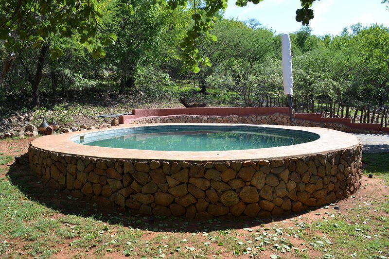 Kwe Kwe Private Game Lodge Marble Hall Limpopo Province South Africa Garden, Nature, Plant, Swimming Pool