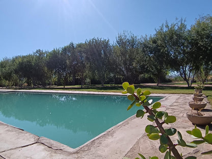 Kwelanga River Lodge, Swimming Pool