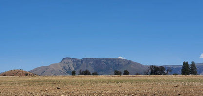 Kwena Dam Resort And Caravan Park Wilgekraal Lydenburg Mpumalanga South Africa Nature