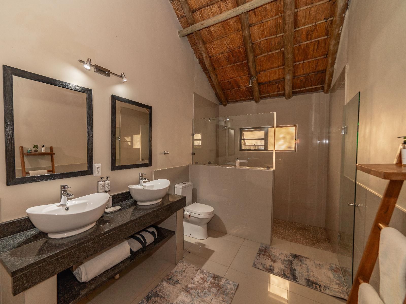 Kwenga Safari Lodge Balule Nature Reserve Mpumalanga South Africa Sepia Tones, Bathroom