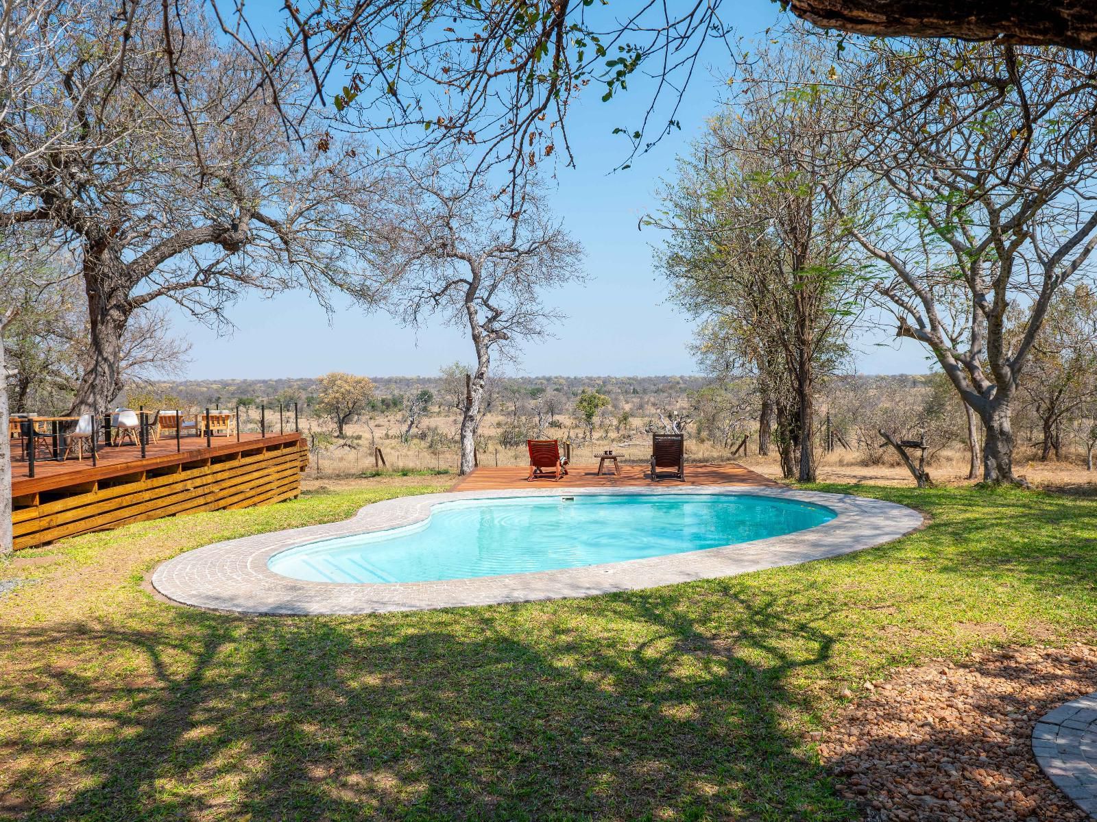 Kwenga Safari Lodge Balule Nature Reserve Mpumalanga South Africa Complementary Colors, Lowland, Nature, Swimming Pool