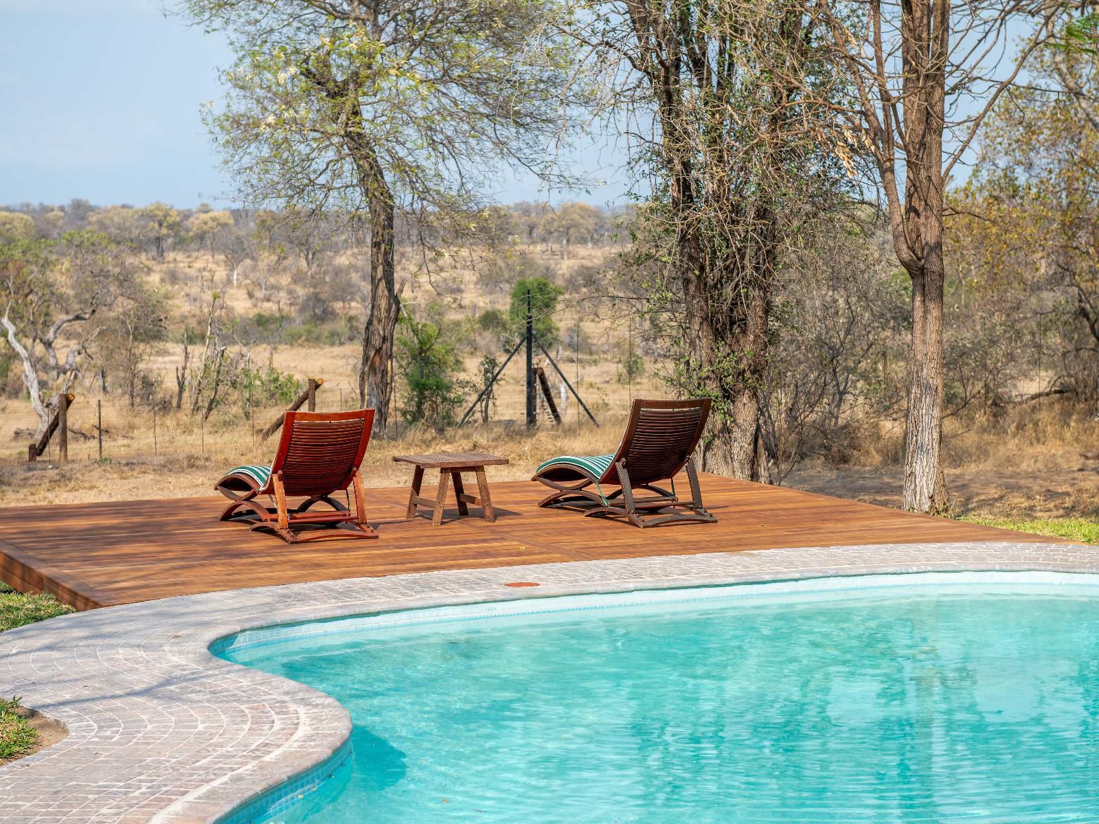 Kwenga Safari Lodge Balule Nature Reserve Mpumalanga South Africa Complementary Colors, Swimming Pool