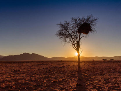 Kwessi Dunes, Desert, Nature, Sand