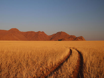 Kwessi Dunes, Field, Nature, Agriculture, Desert, Sand, Lowland