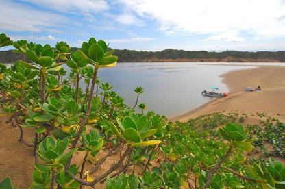 Kya Bella Mtunzini Kwazulu Natal South Africa Beach, Nature, Sand, Island