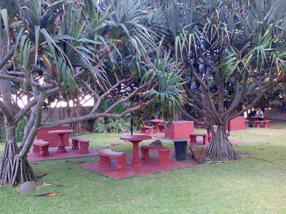 La Ballito Self Catering Ballito Kwazulu Natal South Africa Palm Tree, Plant, Nature, Wood