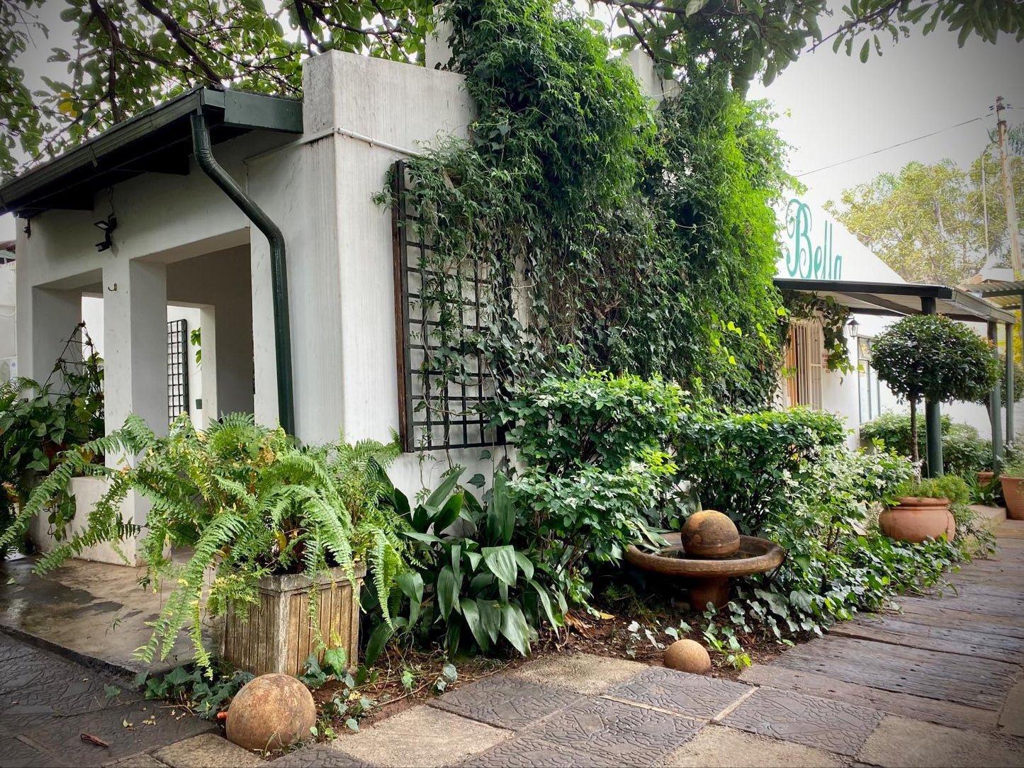 La Bella Bandb Under The Fig Tree Golfbaanpark Bela Bela Warmbaths Limpopo Province South Africa House, Building, Architecture, Plant, Nature, Garden