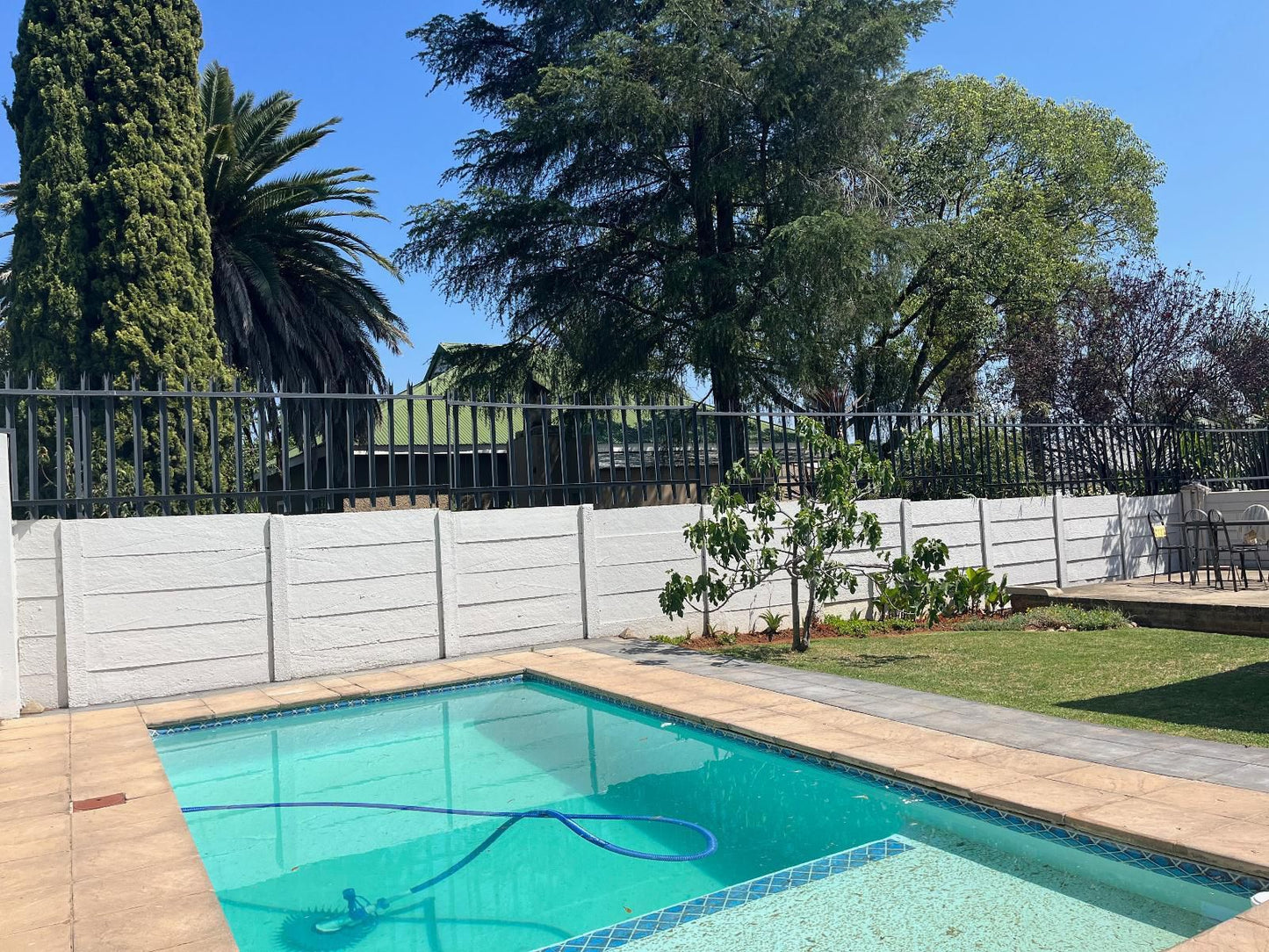 La Belle Guesthouse Parys, Palm Tree, Plant, Nature, Wood, Garden, Swimming Pool