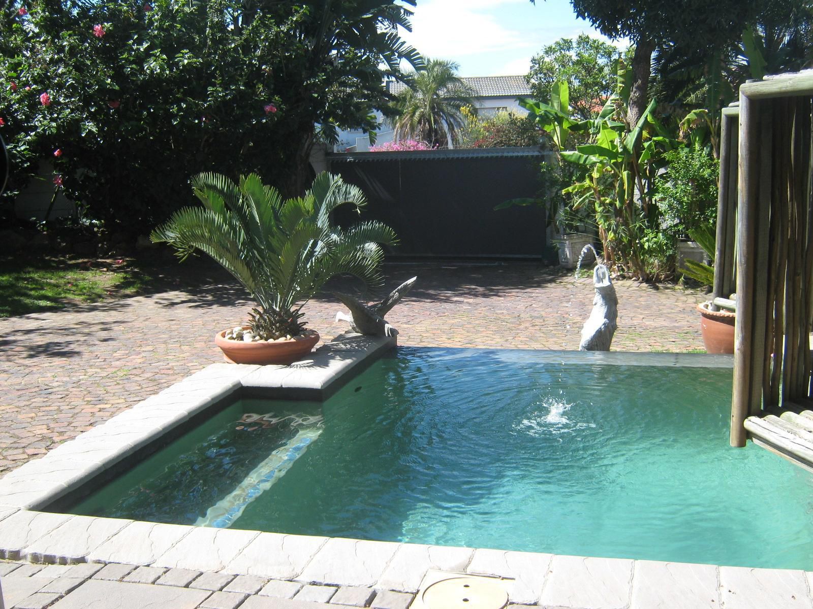 La Boheme Bandb Plettenberg Bay Western Cape South Africa Palm Tree, Plant, Nature, Wood, Garden, Swimming Pool