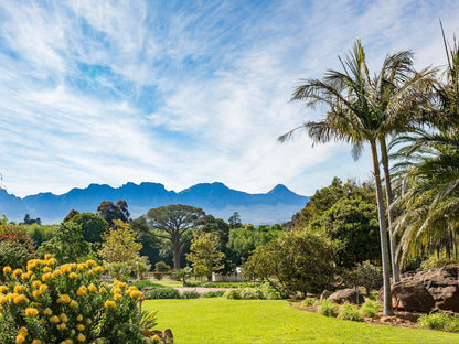 La Felicita Boutique Villas And Apartments Parel Vallei Somerset West Western Cape South Africa Complementary Colors, Plant, Nature, Garden