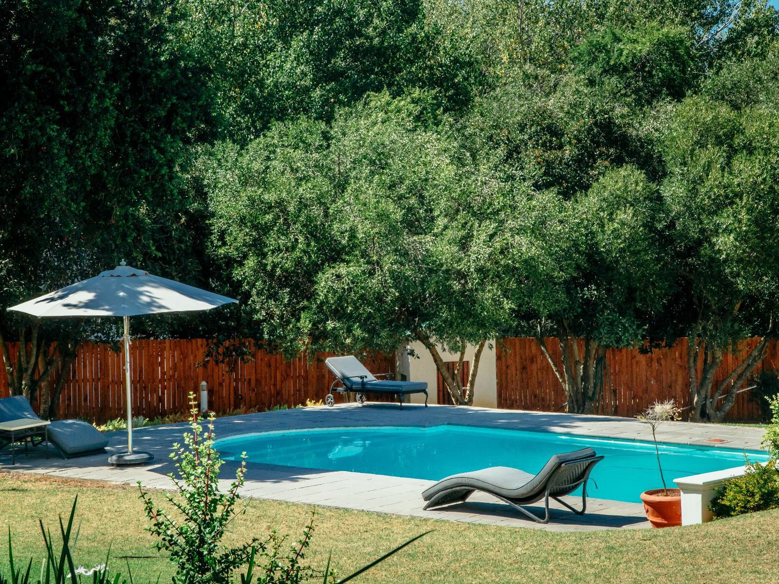 La Felicita Boutique Villas And Apartments Parel Vallei Somerset West Western Cape South Africa Garden, Nature, Plant, Swimming Pool