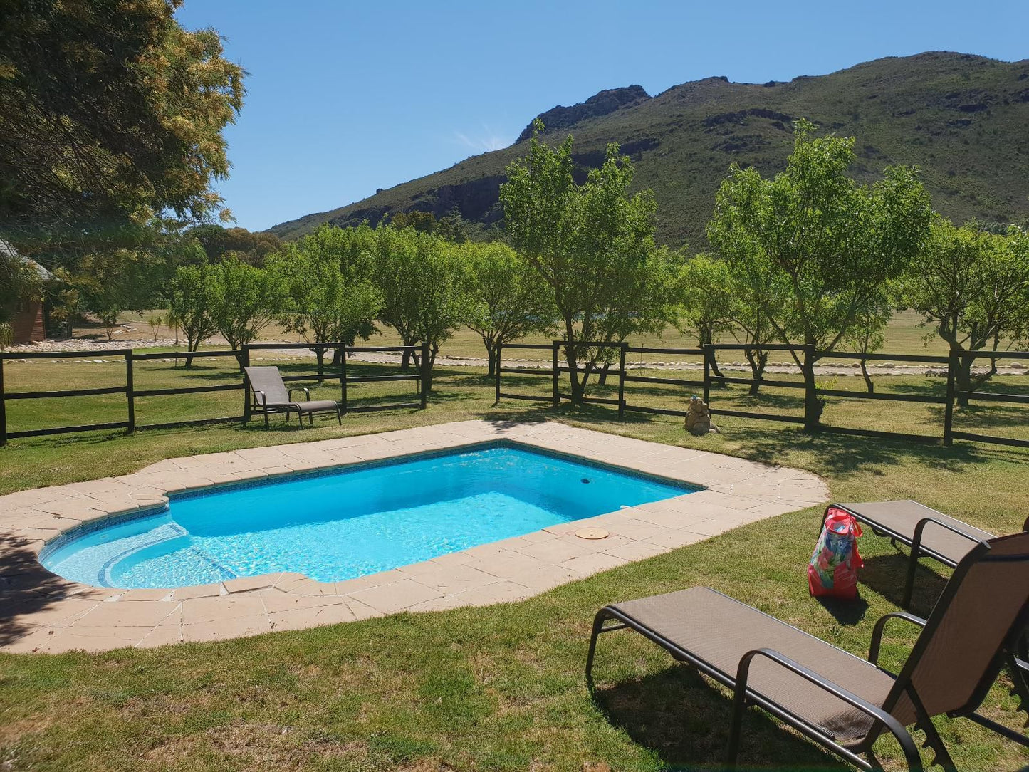 La Ferme Wemmershoek Western Cape South Africa Complementary Colors, Swimming Pool