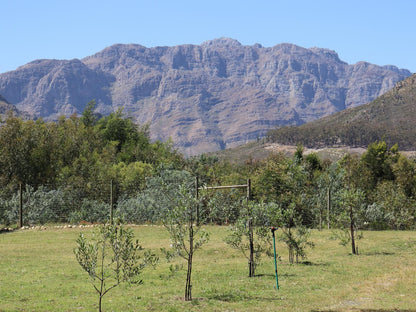 La Ferme Wemmershoek Western Cape South Africa Complementary Colors, Highland, Nature