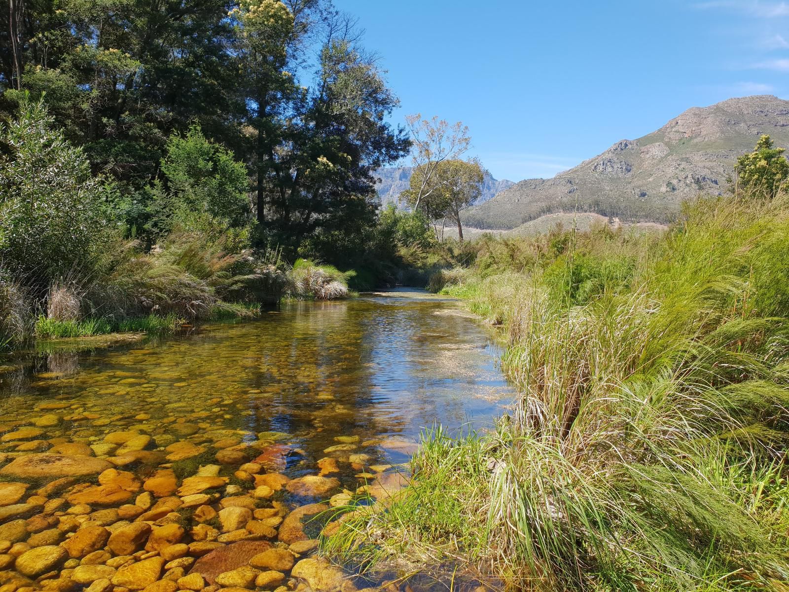 La Ferme Wemmershoek Western Cape South Africa River, Nature, Waters, Highland