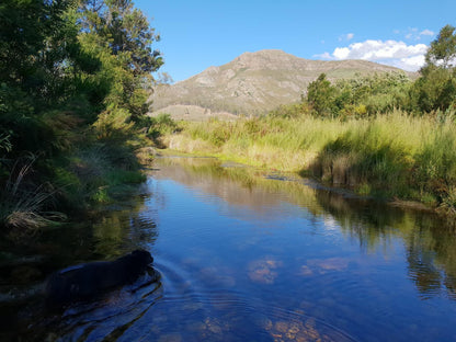 La Ferme Wemmershoek Western Cape South Africa Complementary Colors, Mountain, Nature, River, Waters, Highland