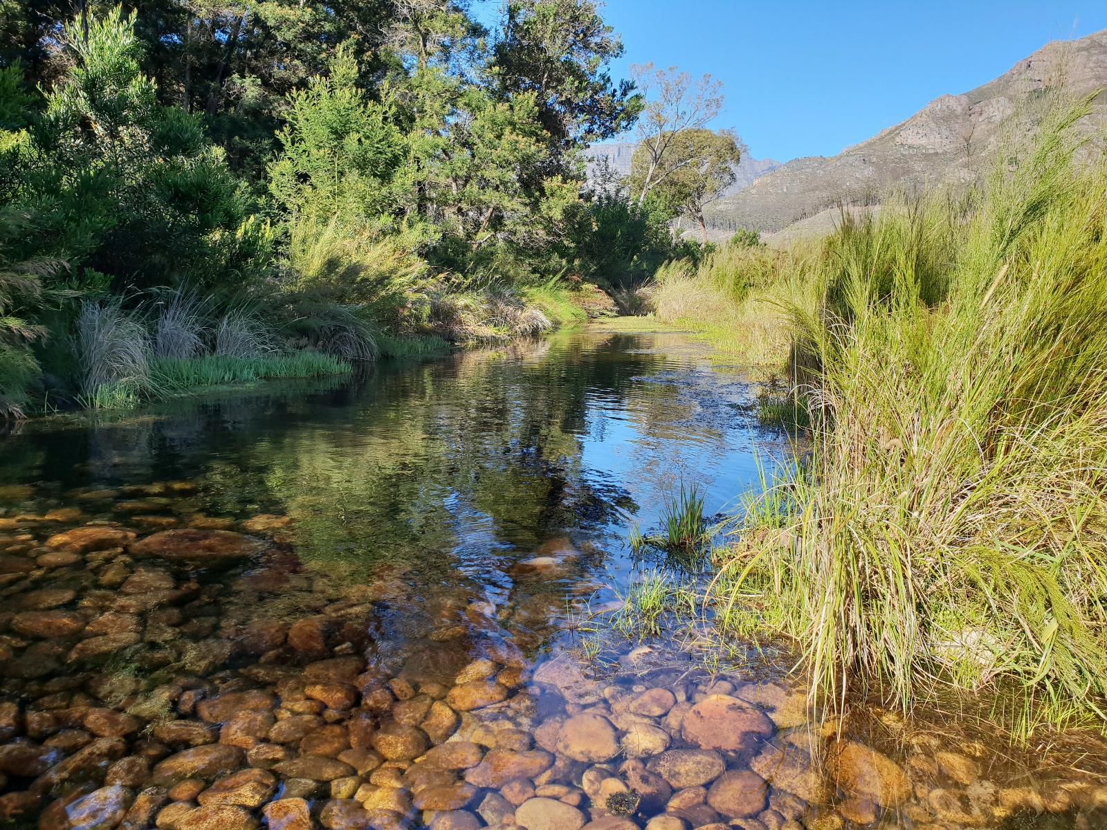 La Ferme Wemmershoek Western Cape South Africa River, Nature, Waters