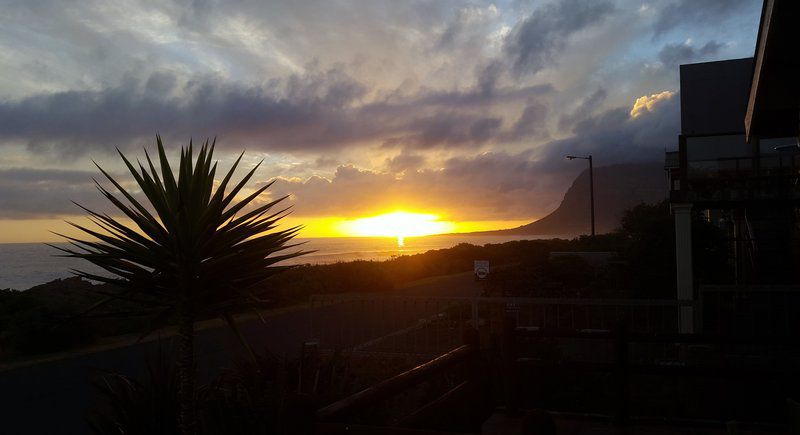 La Mer Kleinmond Western Cape South Africa Palm Tree, Plant, Nature, Wood, Sky, Framing, Sunset