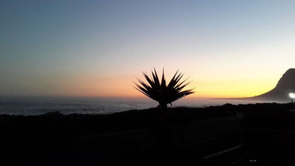 La Mer Kleinmond Western Cape South Africa Beach, Nature, Sand, Palm Tree, Plant, Wood, Pineapple, Fruit, Food, Silhouette, Framing, Sunset, Sky