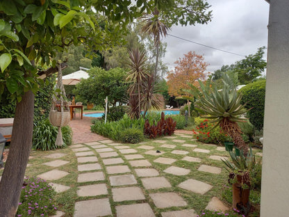 La Pension Guest House, Palm Tree, Plant, Nature, Wood, Garden