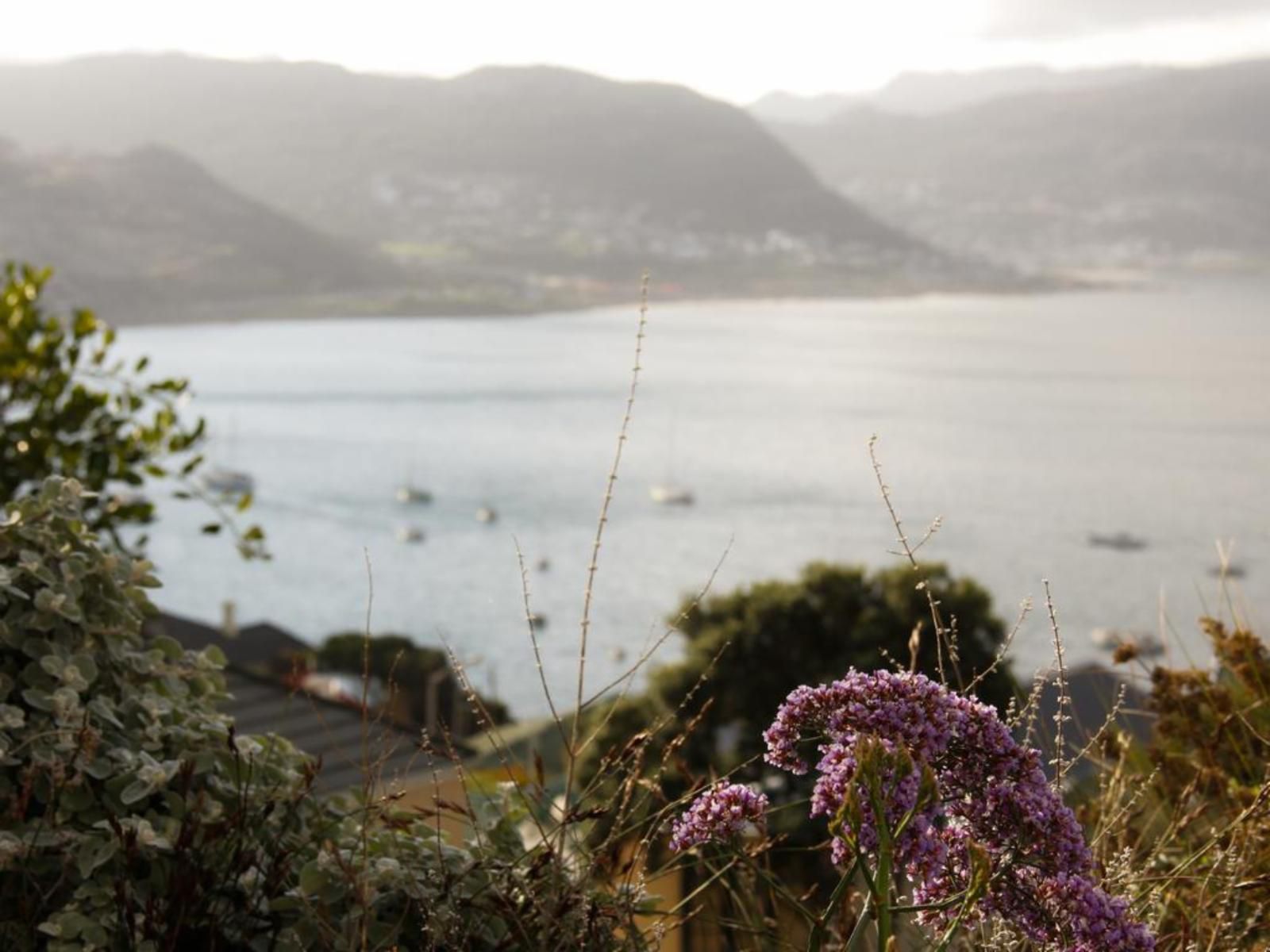 La Pergola Simons Town Cape Town Western Cape South Africa Lake, Nature, Waters, Highland