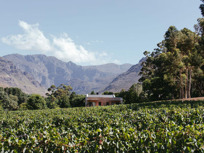 La Roche Estate Franschhoek Western Cape South Africa Complementary Colors