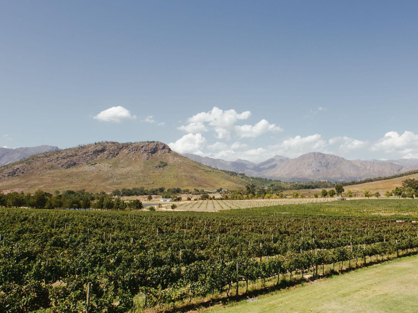 La Roche Estate Franschhoek Western Cape South Africa Complementary Colors