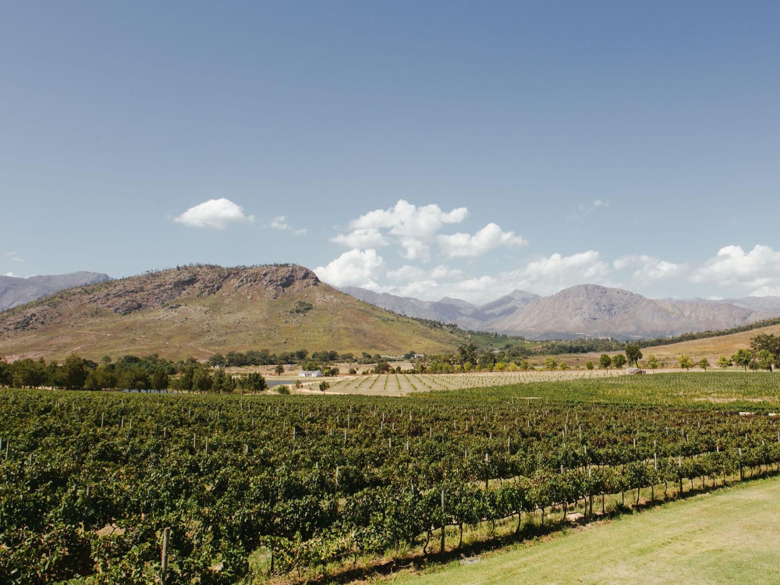 La Roche Estate Franschhoek Western Cape South Africa Complementary Colors