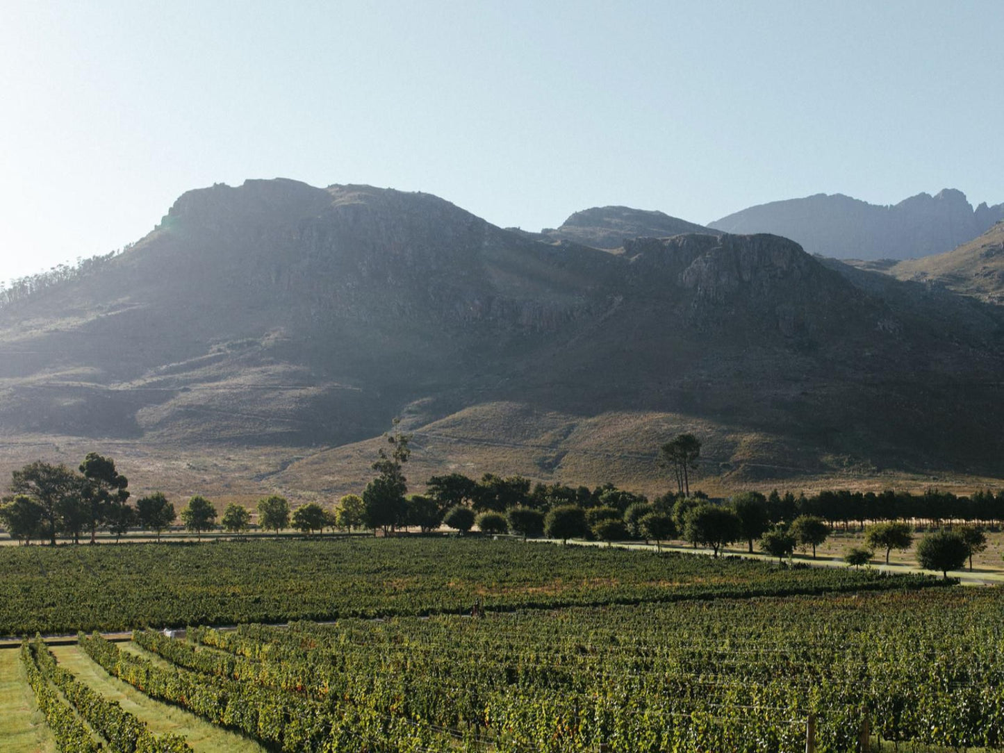 La Roche Estate Franschhoek Western Cape South Africa Field, Nature, Agriculture, Mountain, Highland