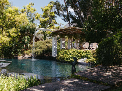 La Roche Estate Franschhoek Western Cape South Africa Palm Tree, Plant, Nature, Wood, Garden, Swimming Pool