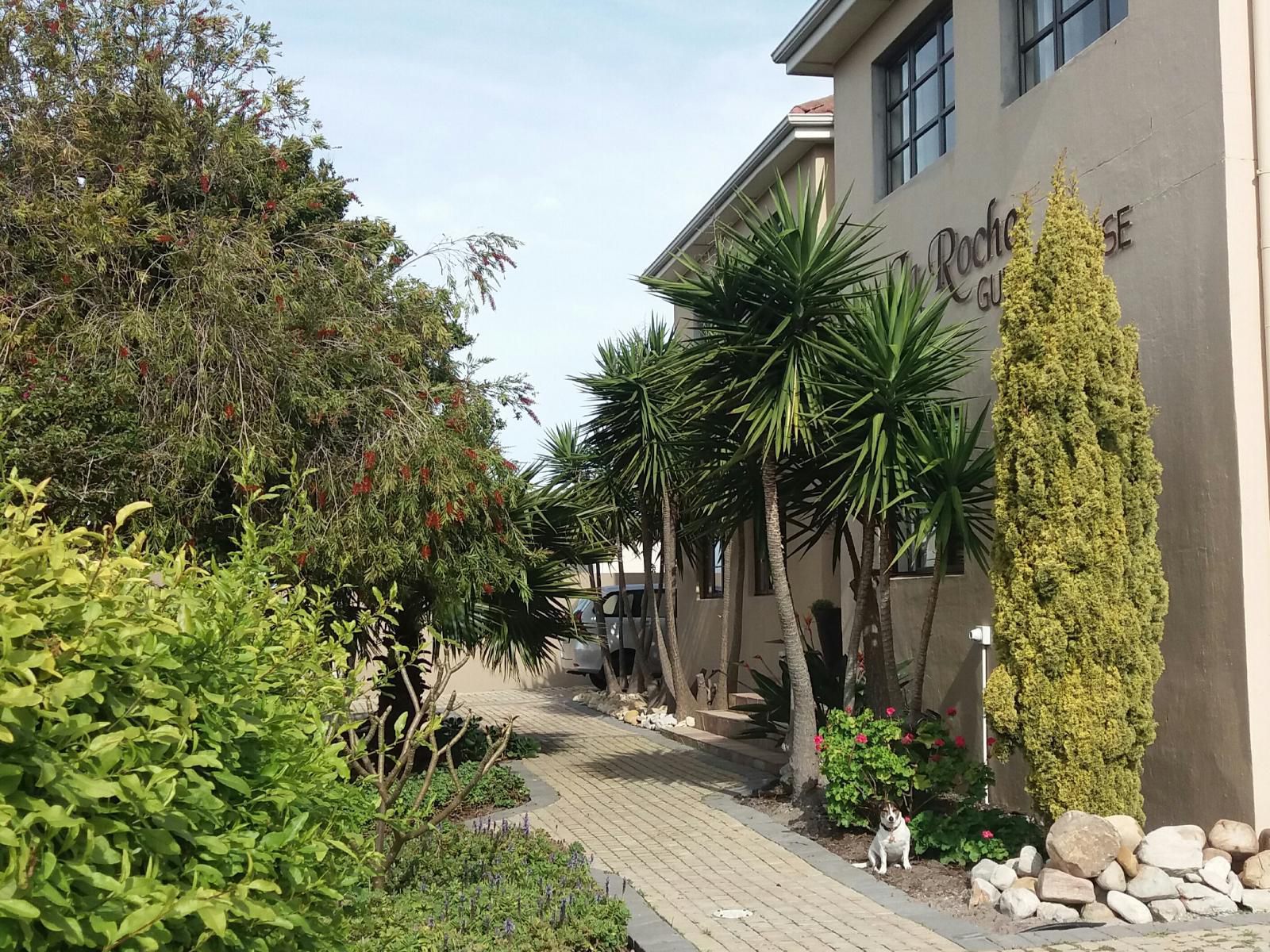 La Roche Guest House Milnerton Cape Town Western Cape South Africa House, Building, Architecture, Palm Tree, Plant, Nature, Wood, Garden