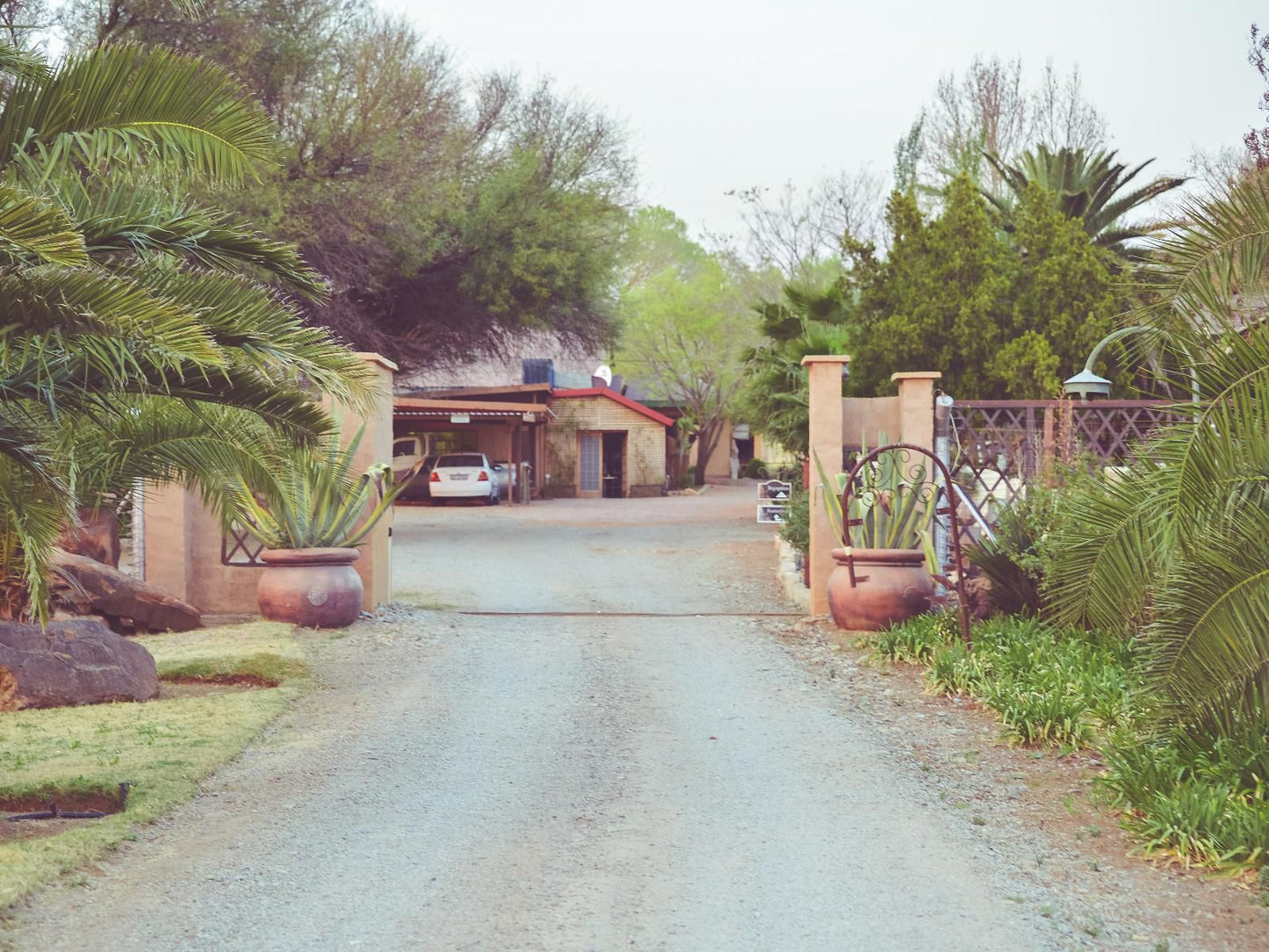 La Rochelle Guesthouse Bothaville Free State South Africa Palm Tree, Plant, Nature, Wood