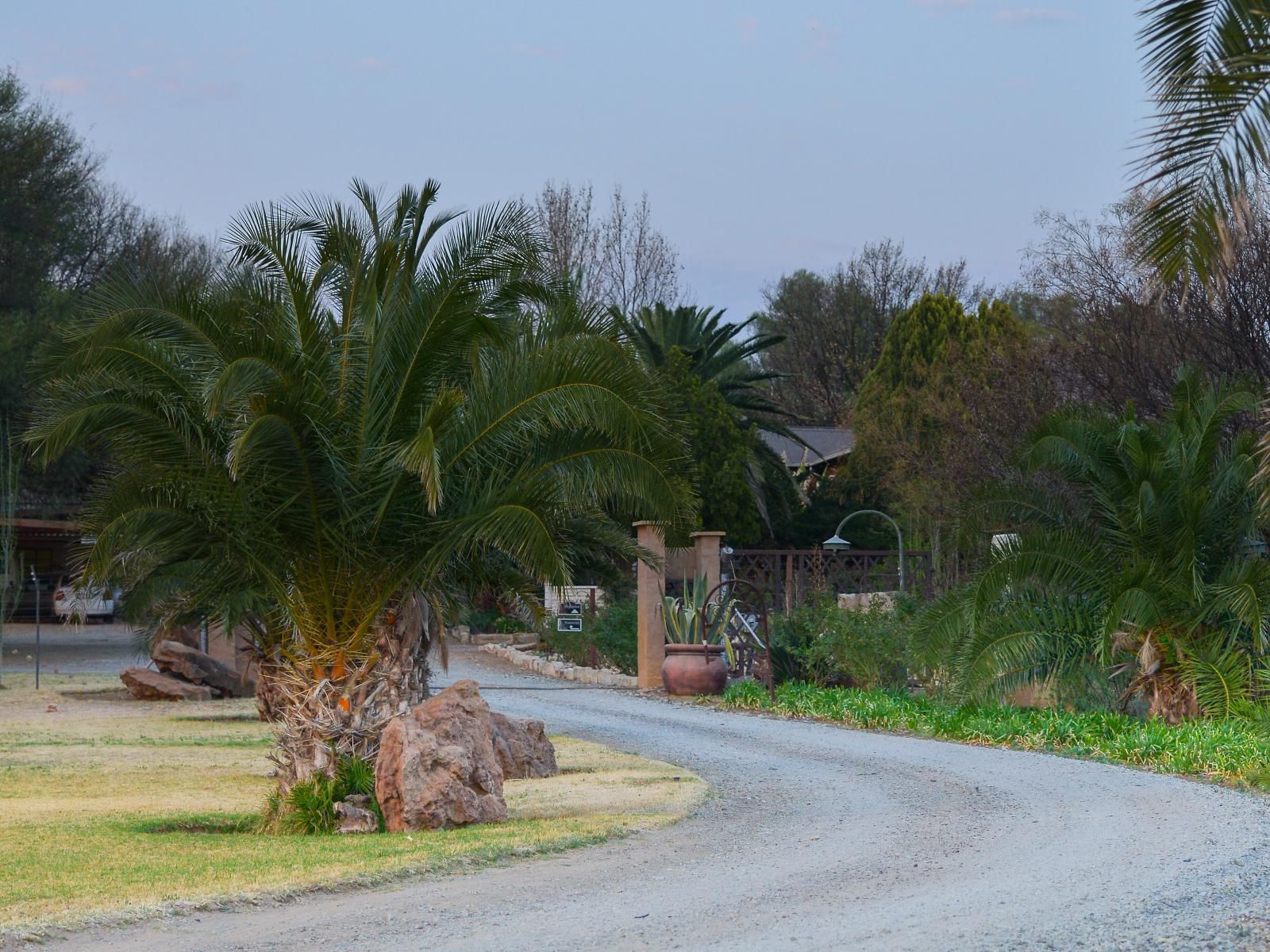 La Rochelle Guesthouse Bothaville Free State South Africa Palm Tree, Plant, Nature, Wood