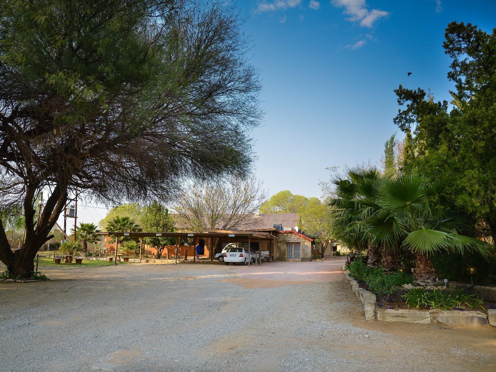 La Rochelle Guesthouse Bothaville Free State South Africa Palm Tree, Plant, Nature, Wood