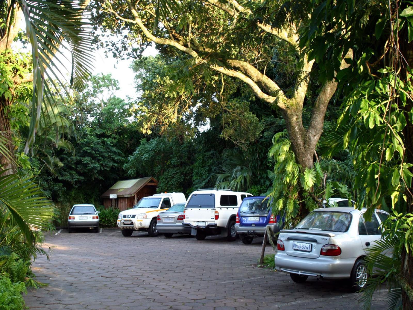 La Rochelle Inn Meerensee Richards Bay Kwazulu Natal South Africa Palm Tree, Plant, Nature, Wood, Tree, Car, Vehicle