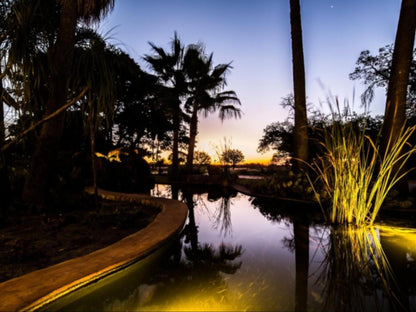 La Rochelle Lodge, Palm Tree, Plant, Nature, Wood