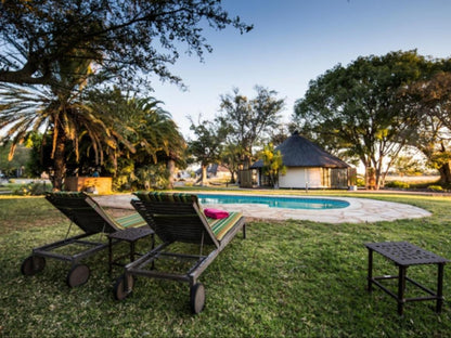 La Rochelle Lodge, Palm Tree, Plant, Nature, Wood, Swimming Pool