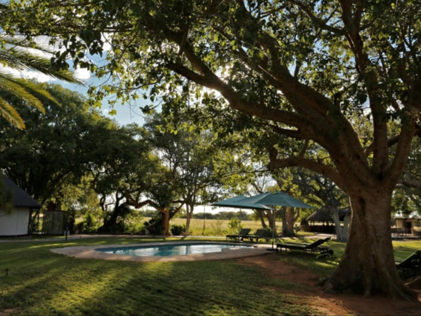 La Rochelle Lodge, Plant, Nature, Tree, Wood