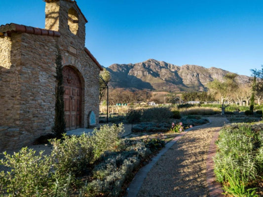 La Villa Retreat, Cactus, Plant, Nature, Framing