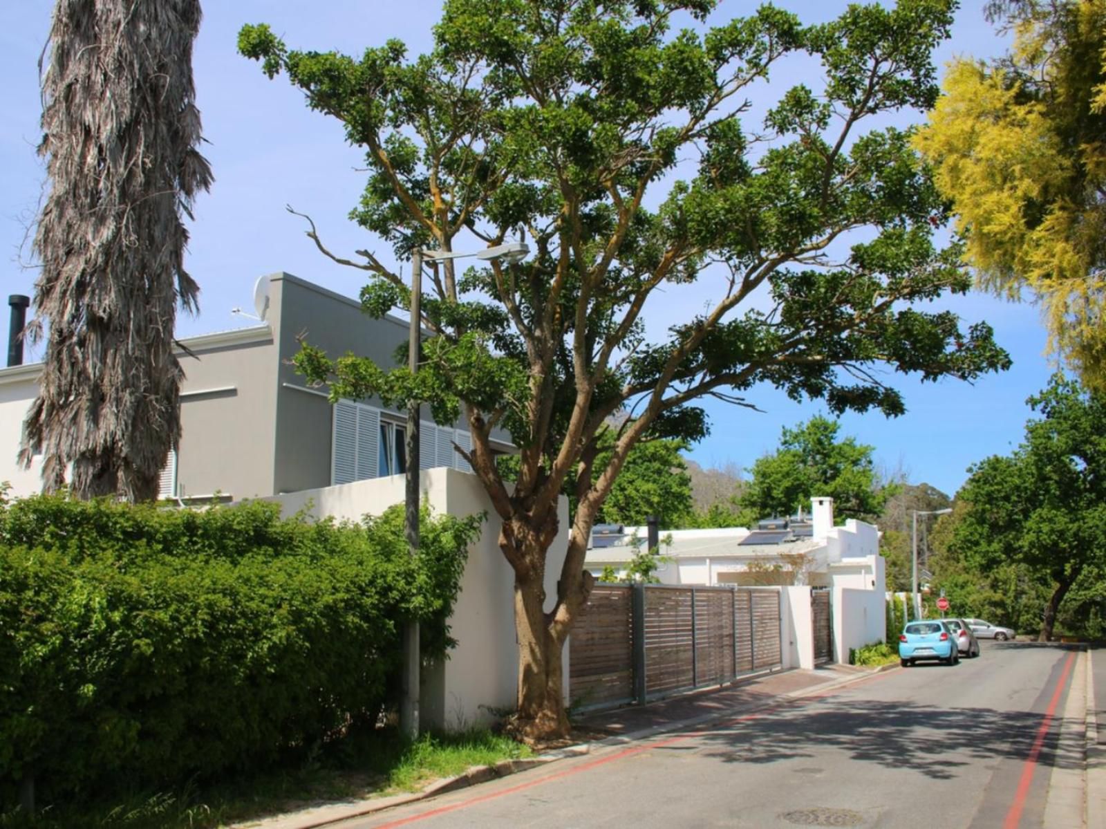 Laanhof Stellenbosch Central Stellenbosch Western Cape South Africa House, Building, Architecture, Palm Tree, Plant, Nature, Wood, Sign